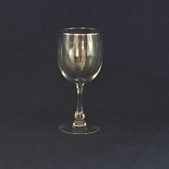 Fostoria Trousseau Water Goblet Platinum Trim Elegant Design For Dining - Picture 2 of 14